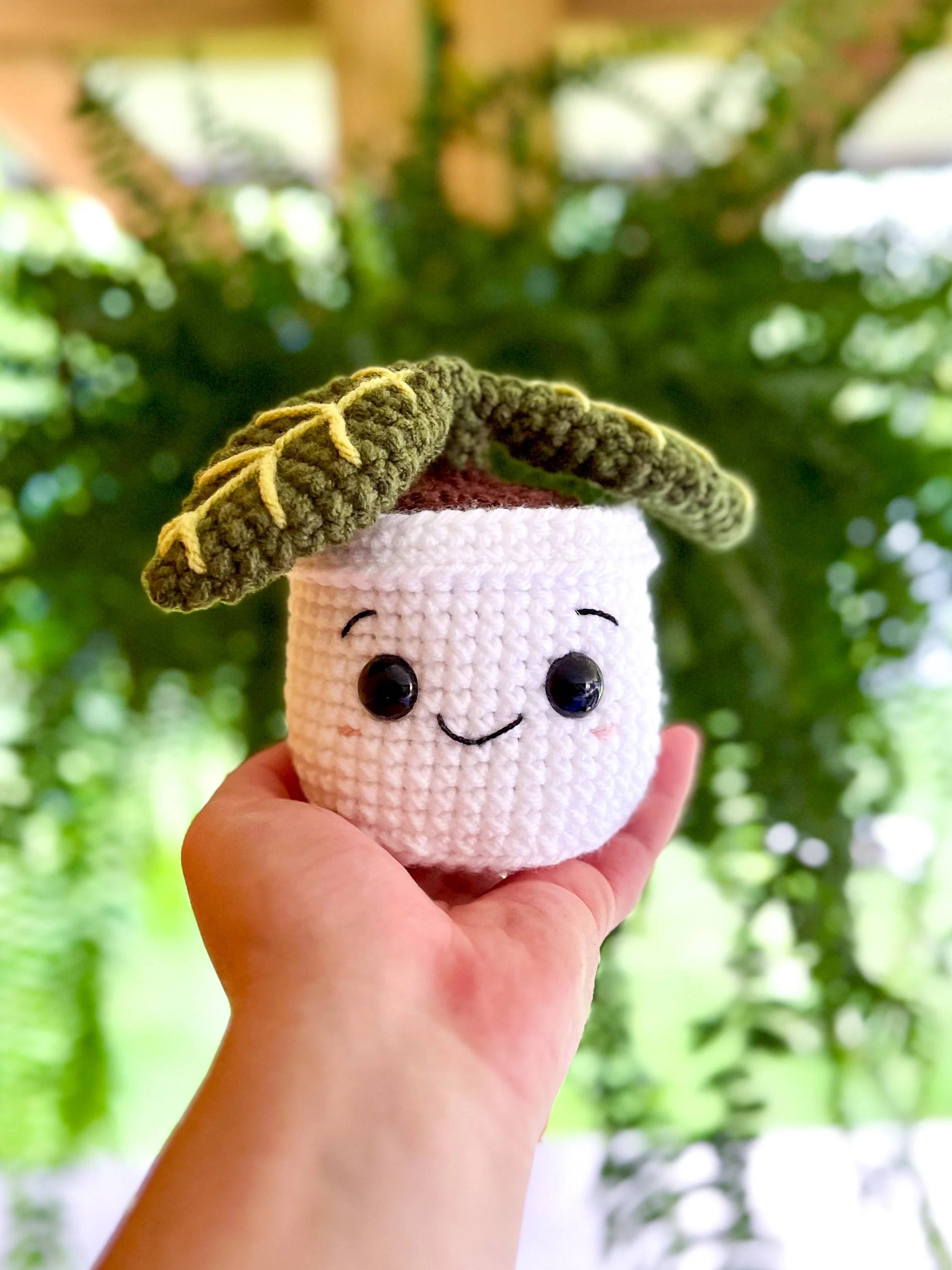 30 Crochet House Plants Patterns Image