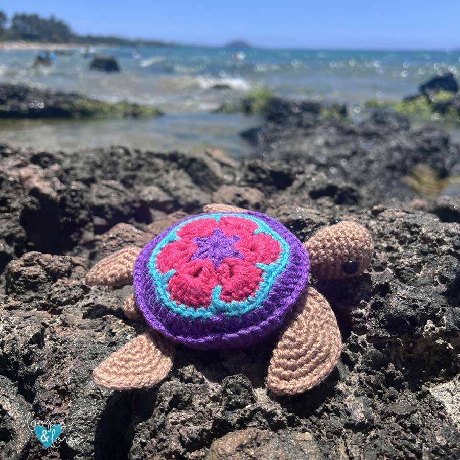 28 Crochet Turtle Applique Patterns Image