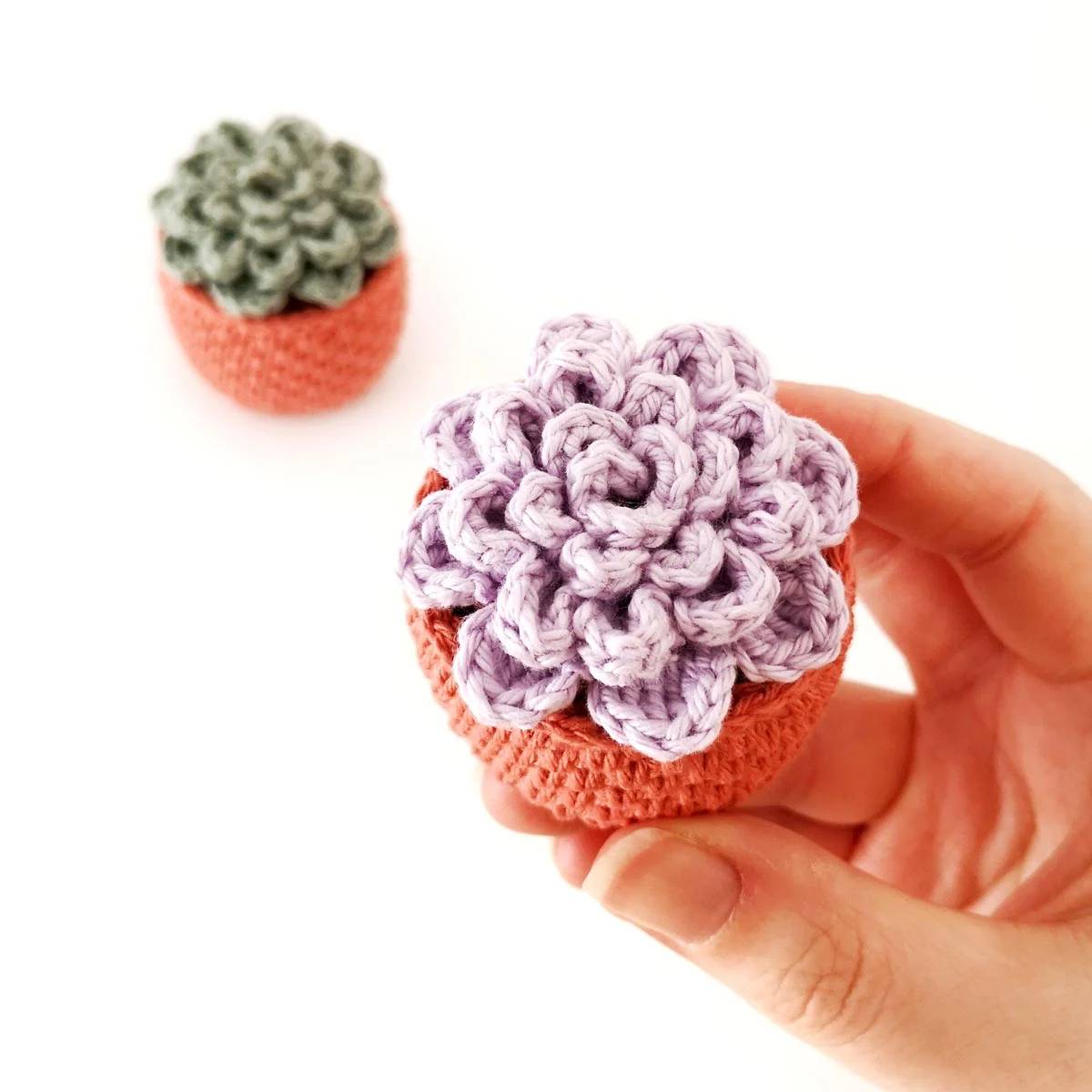 30 Crochet House Plants Patterns Image