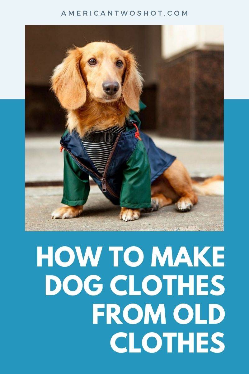 31 DIY Dog Clothes Patterns Image