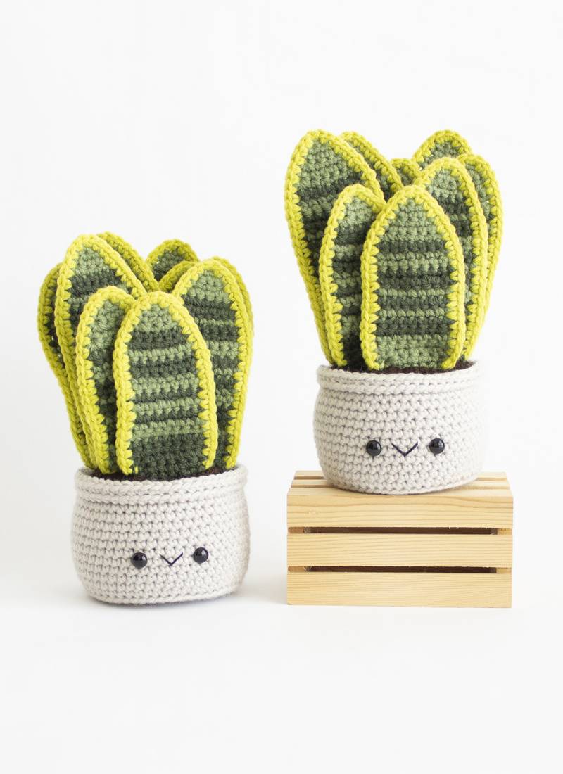 30 Crochet House Plants Patterns Image