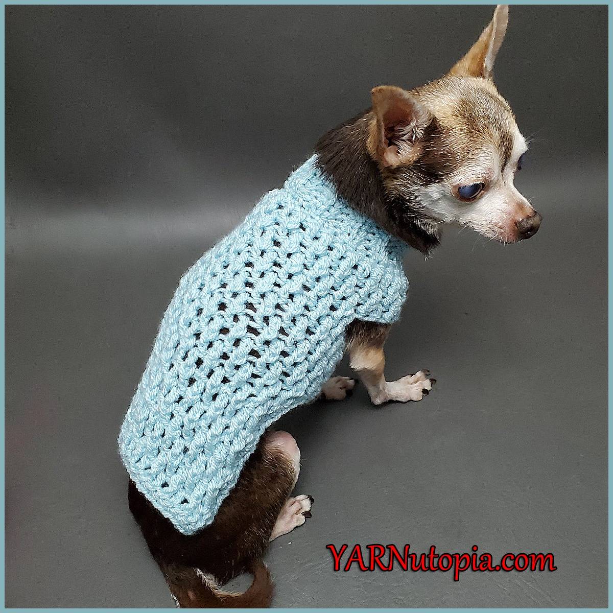 32 Small Dog Sweaters Crochet Patterns Image