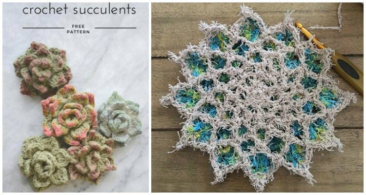 30 Crochet House Plants Patterns Image