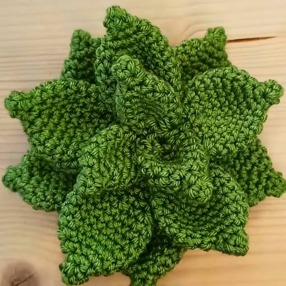 30 Crochet House Plants Patterns Image