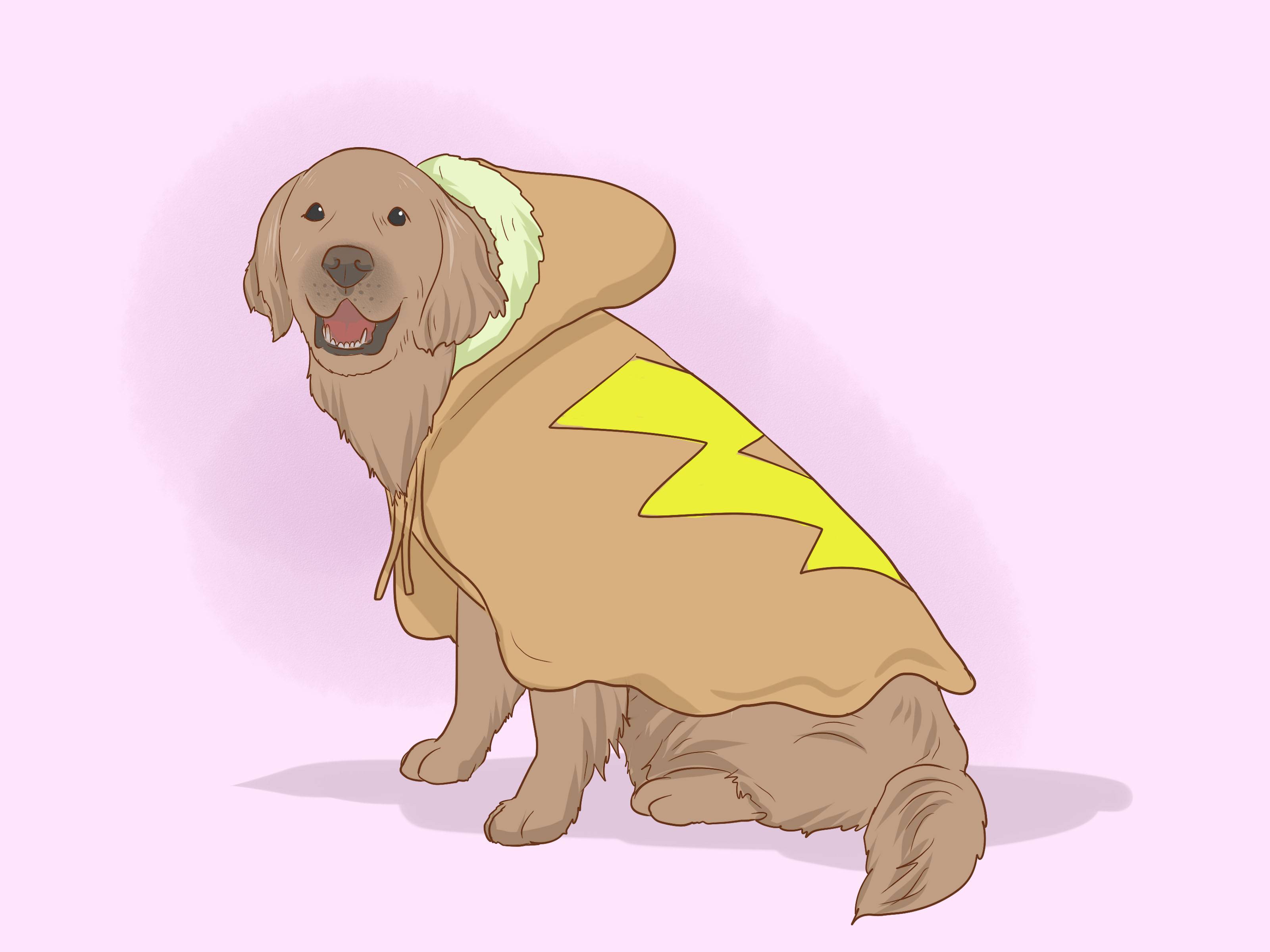 31 DIY Dog Clothes Patterns Image