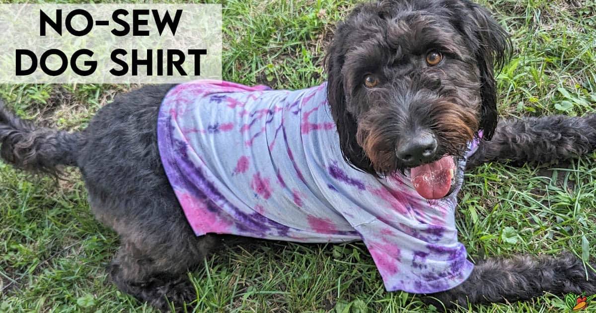 31 DIY Dog Clothes Patterns Image