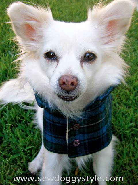 31 DIY Dog Clothes Patterns Image