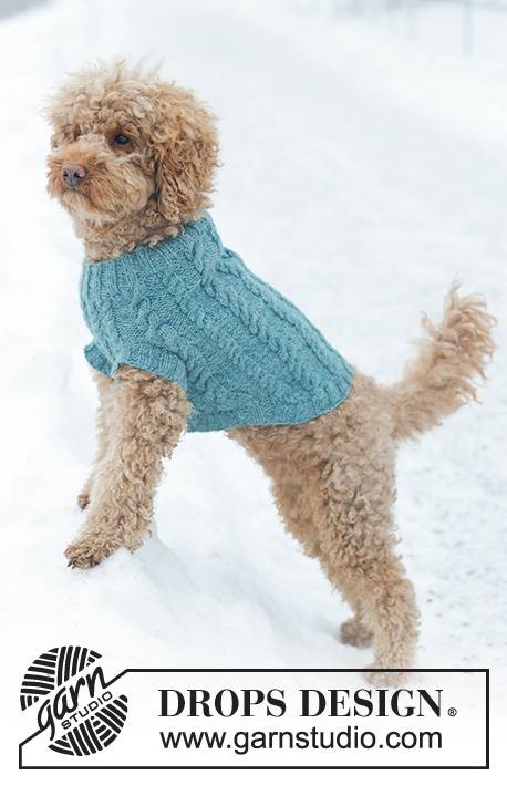 25 Knit Chihuahua Sweater Patterns Image