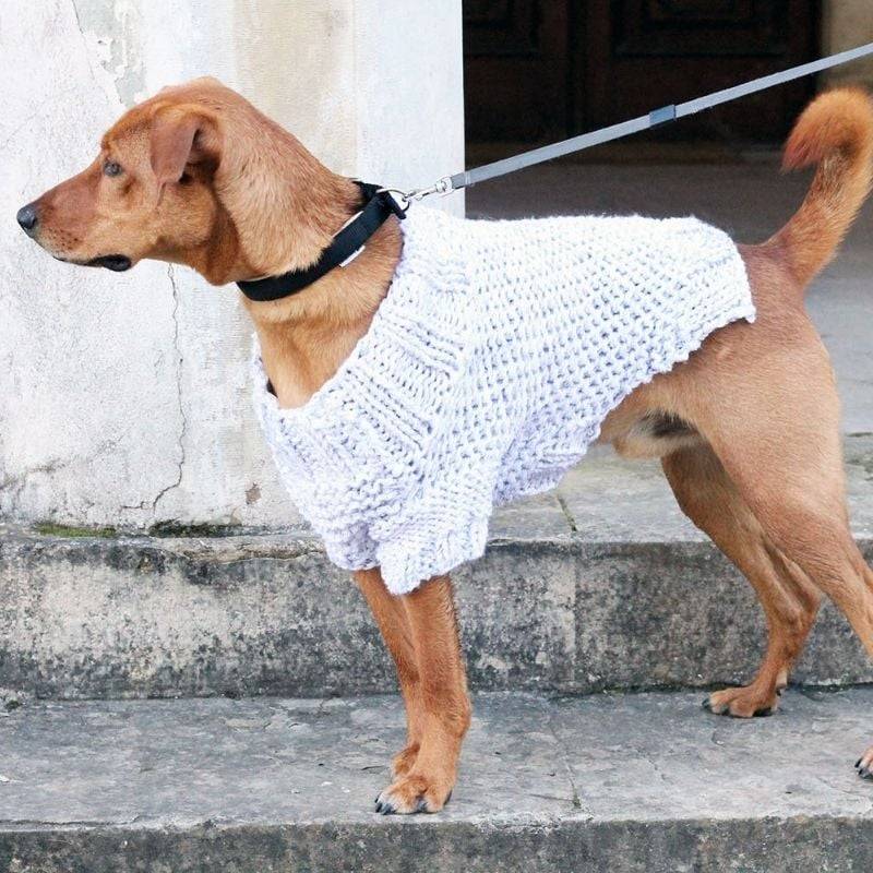 25 Knit Chihuahua Sweater Patterns Image