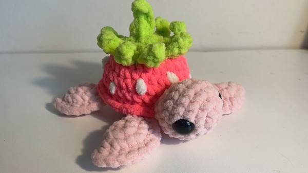 8 Strawberry Turtle Crochet Patterns Image
