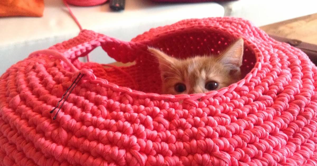 35 Crochet Cat House Patterns Image