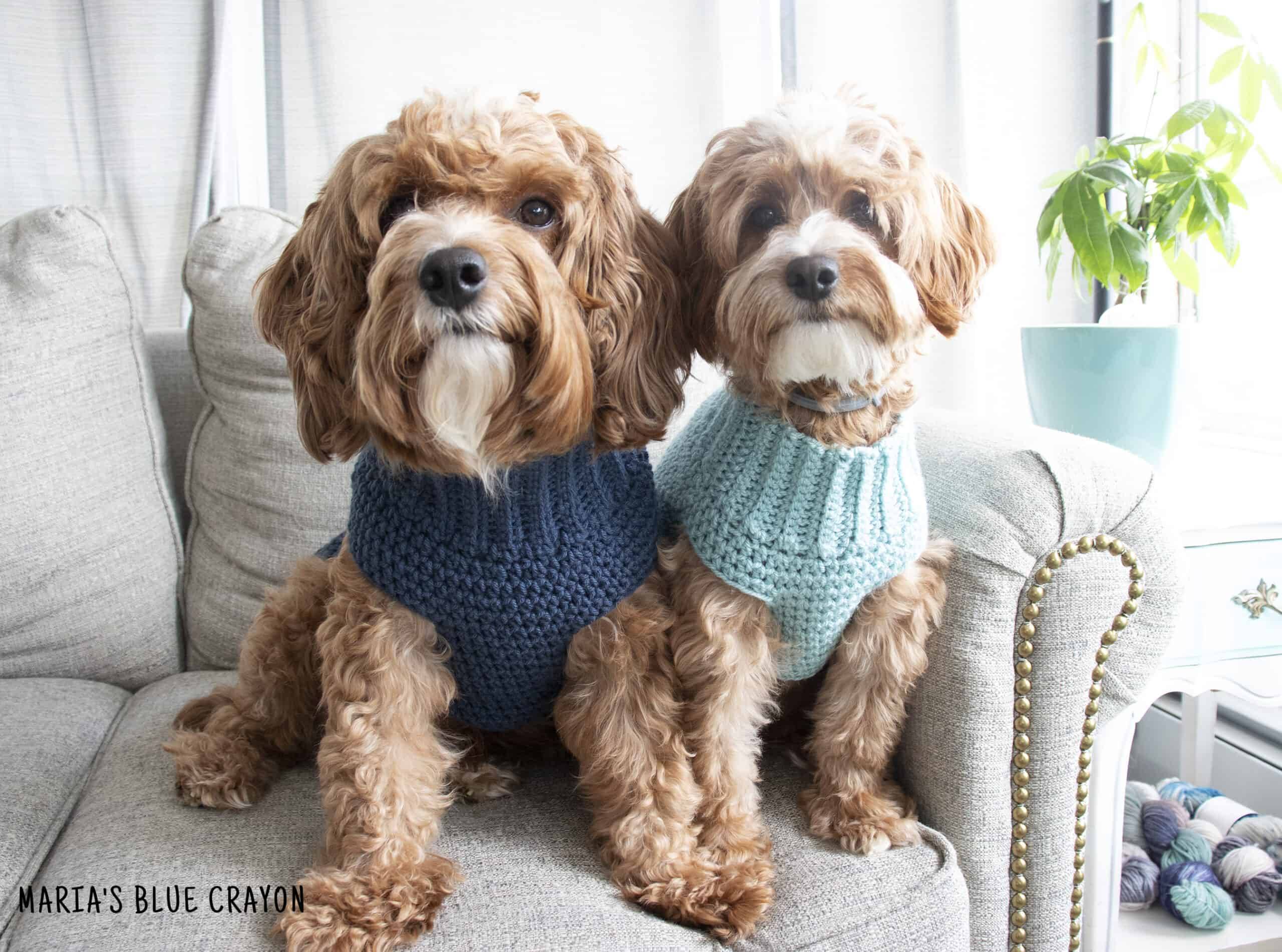 32 Small Dog Sweaters Crochet Patterns Image