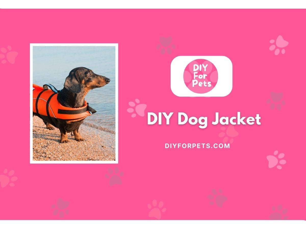 31 DIY Dog Clothes Patterns Image