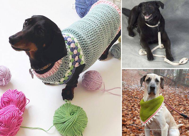 32 Small Dog Sweaters Crochet Patterns Image
