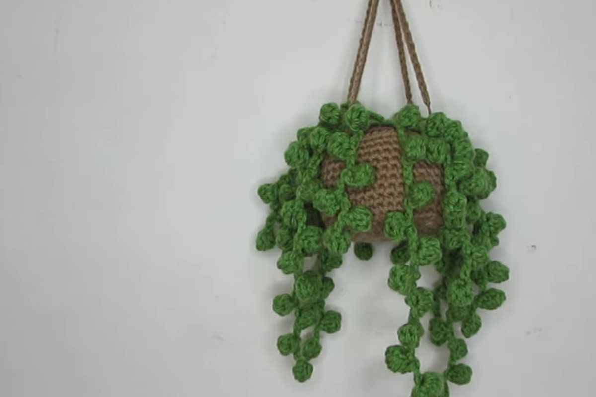 30 Crochet House Plants Patterns Image