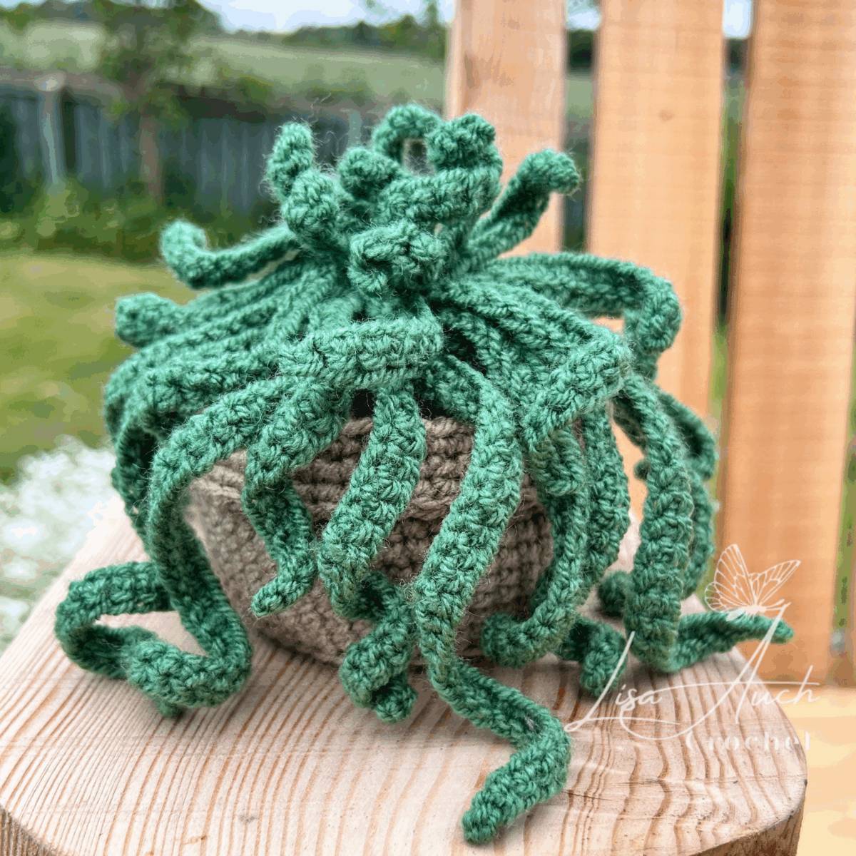 30 Crochet House Plants Patterns Image