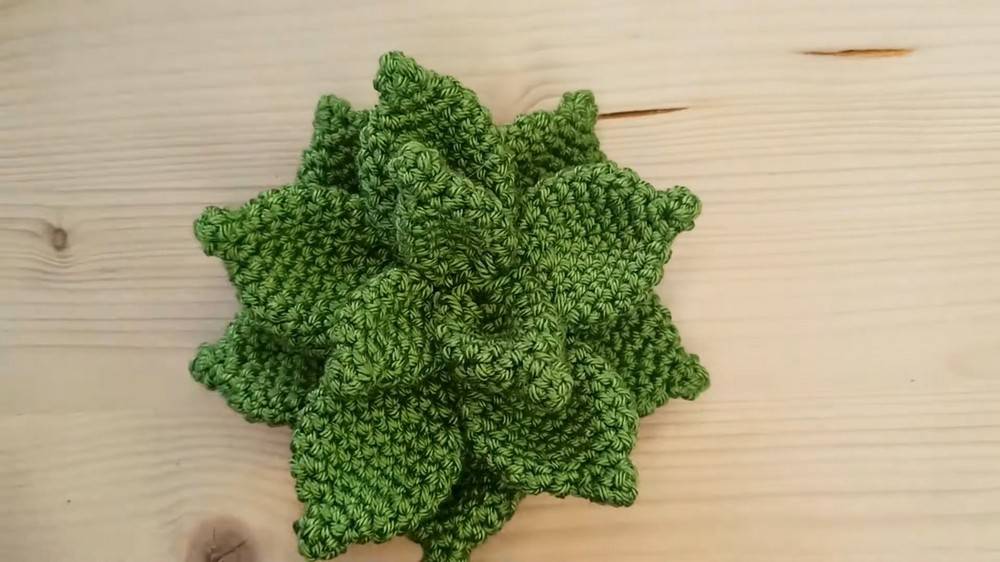 30 Crochet House Plants Patterns Image