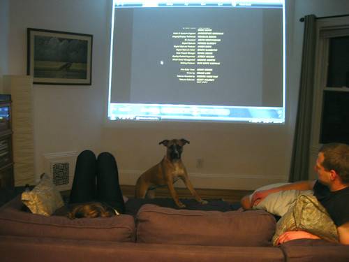 31 Poncho Knitting Patterns Image