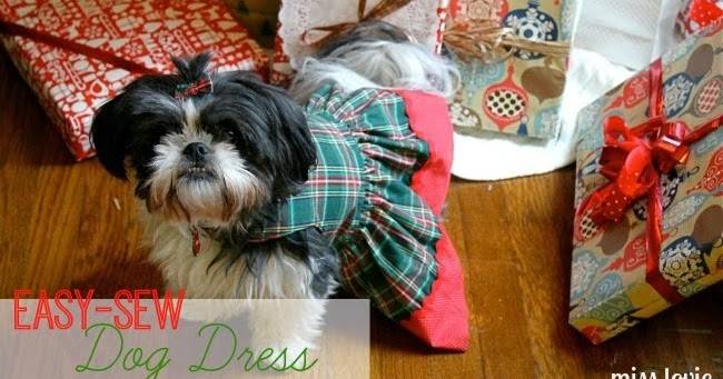 31 DIY Dog Clothes Patterns Image