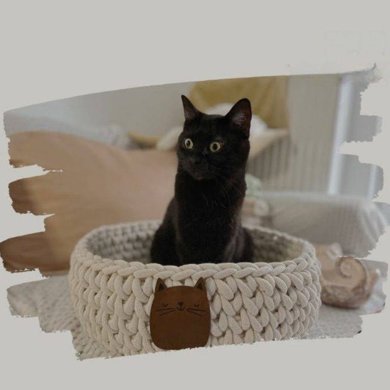 35 Crochet Cat House Patterns Image