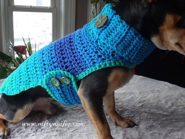 25 Knit Chihuahua Sweater Patterns Image