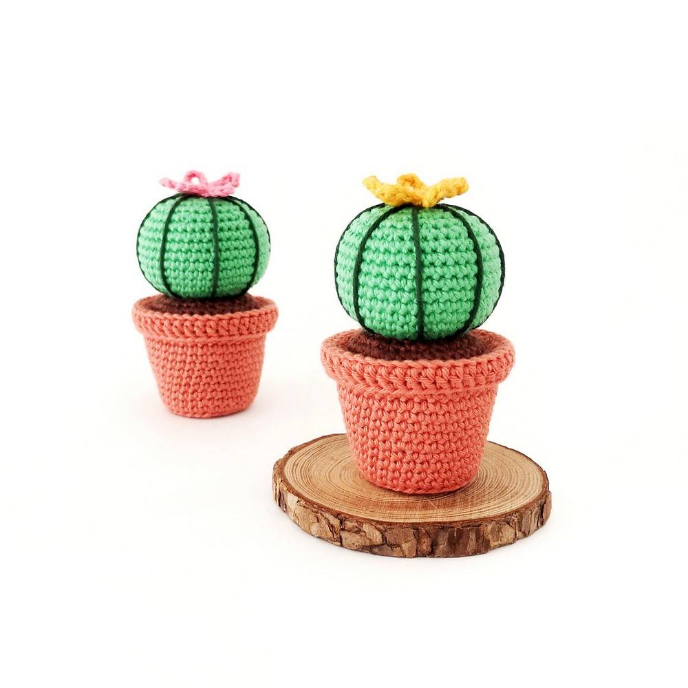 30 Crochet House Plants Patterns Image