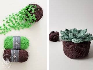 30 Crochet House Plants Patterns Image