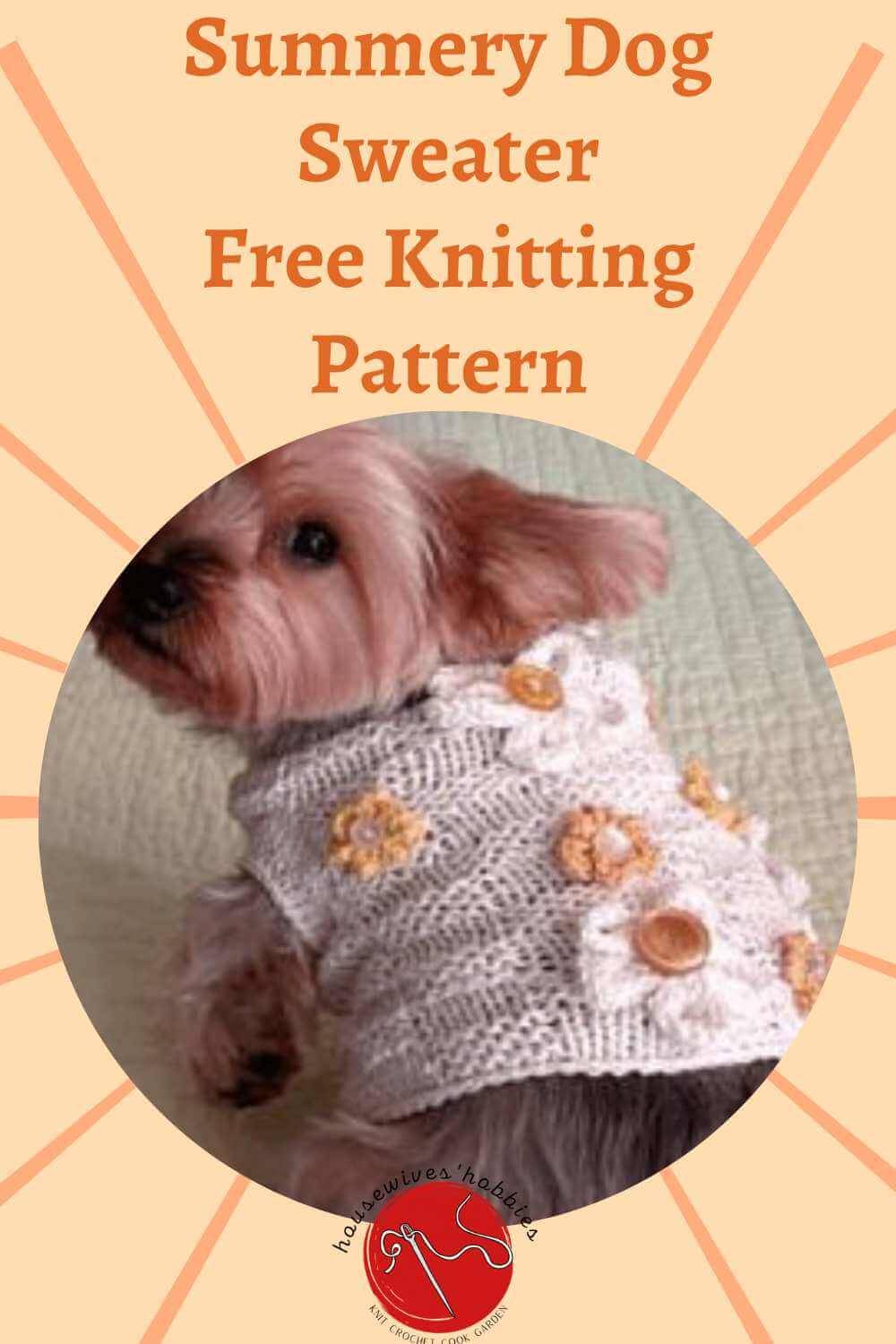 25 Knit Chihuahua Sweater Patterns Image