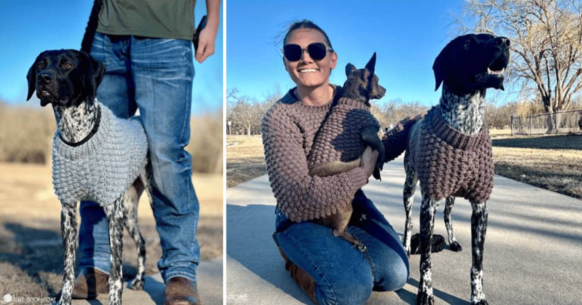 32 Small Dog Sweaters Crochet Patterns Image