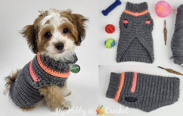 32 Small Dog Sweaters Crochet Patterns Image