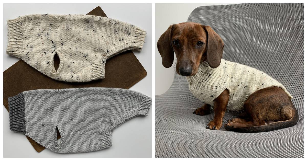 31 DIY Dog Clothes Patterns Image