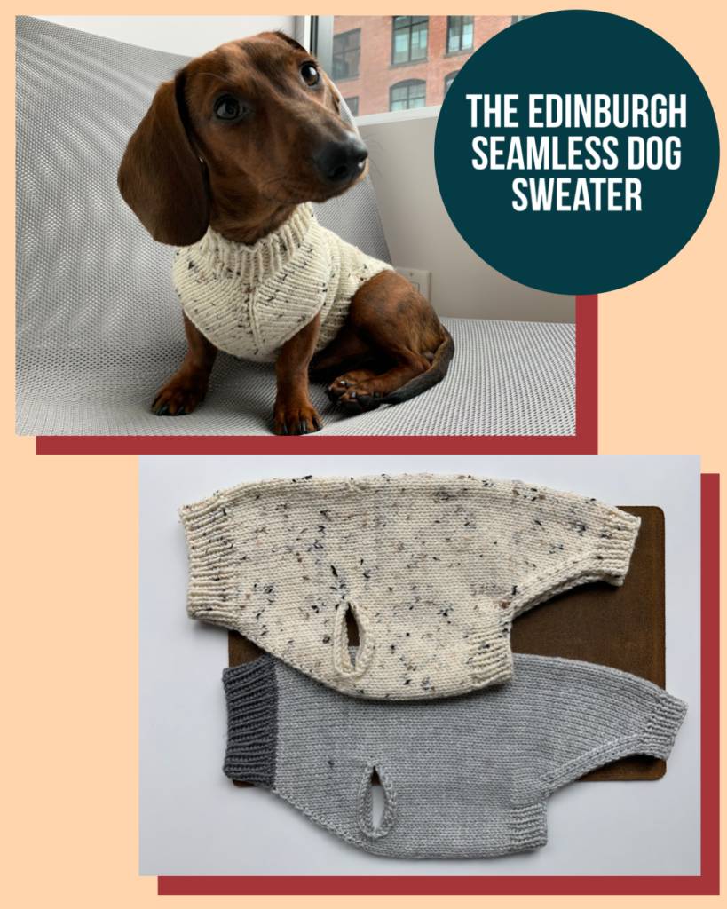 25 Knit Chihuahua Sweater Patterns Image