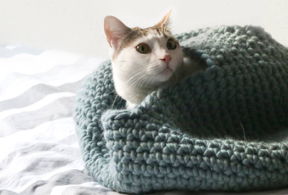35 Crochet Cat House Patterns Image