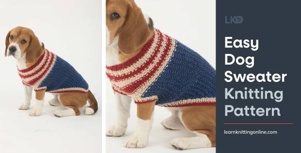 25 Knit Chihuahua Sweater Patterns Image