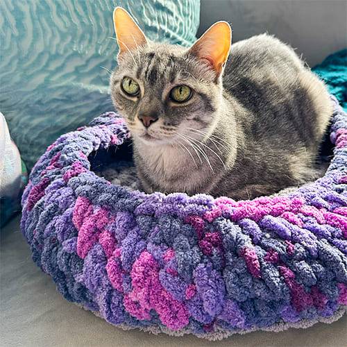 35 Crochet Cat House Patterns Image