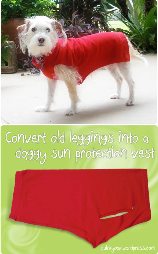 31 DIY Dog Clothes Patterns Image