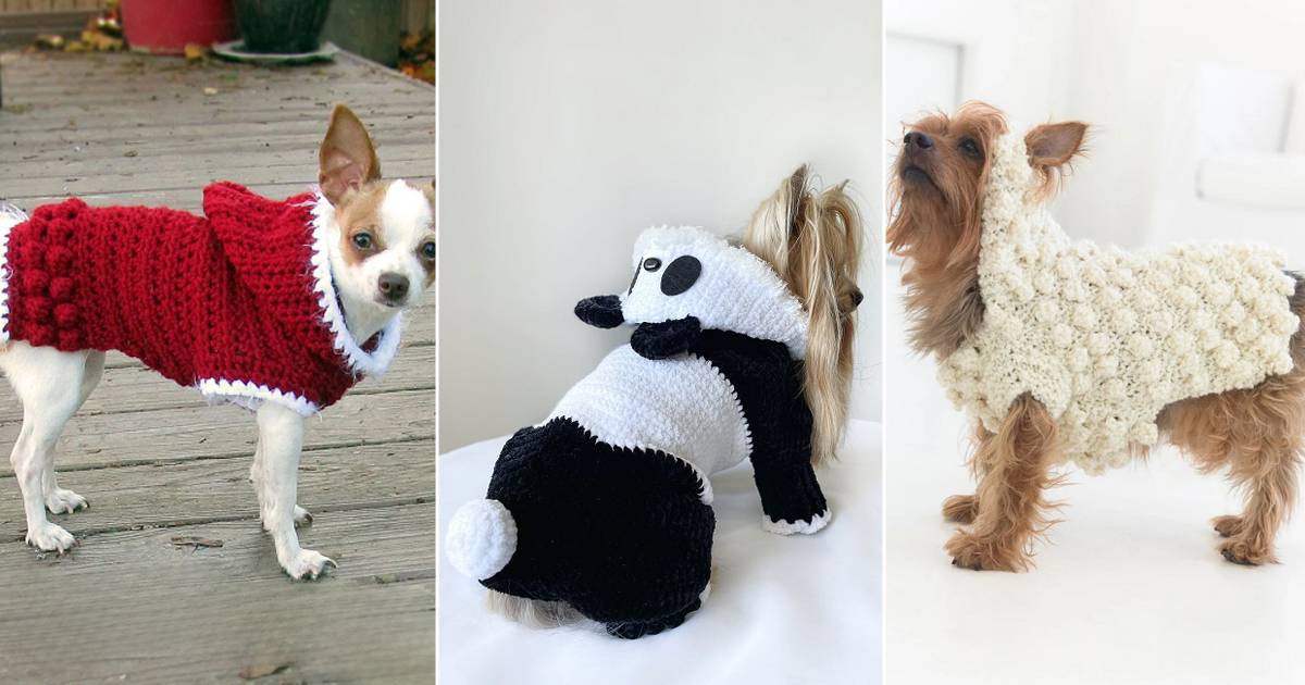 32 Small Dog Sweaters Crochet Patterns Image