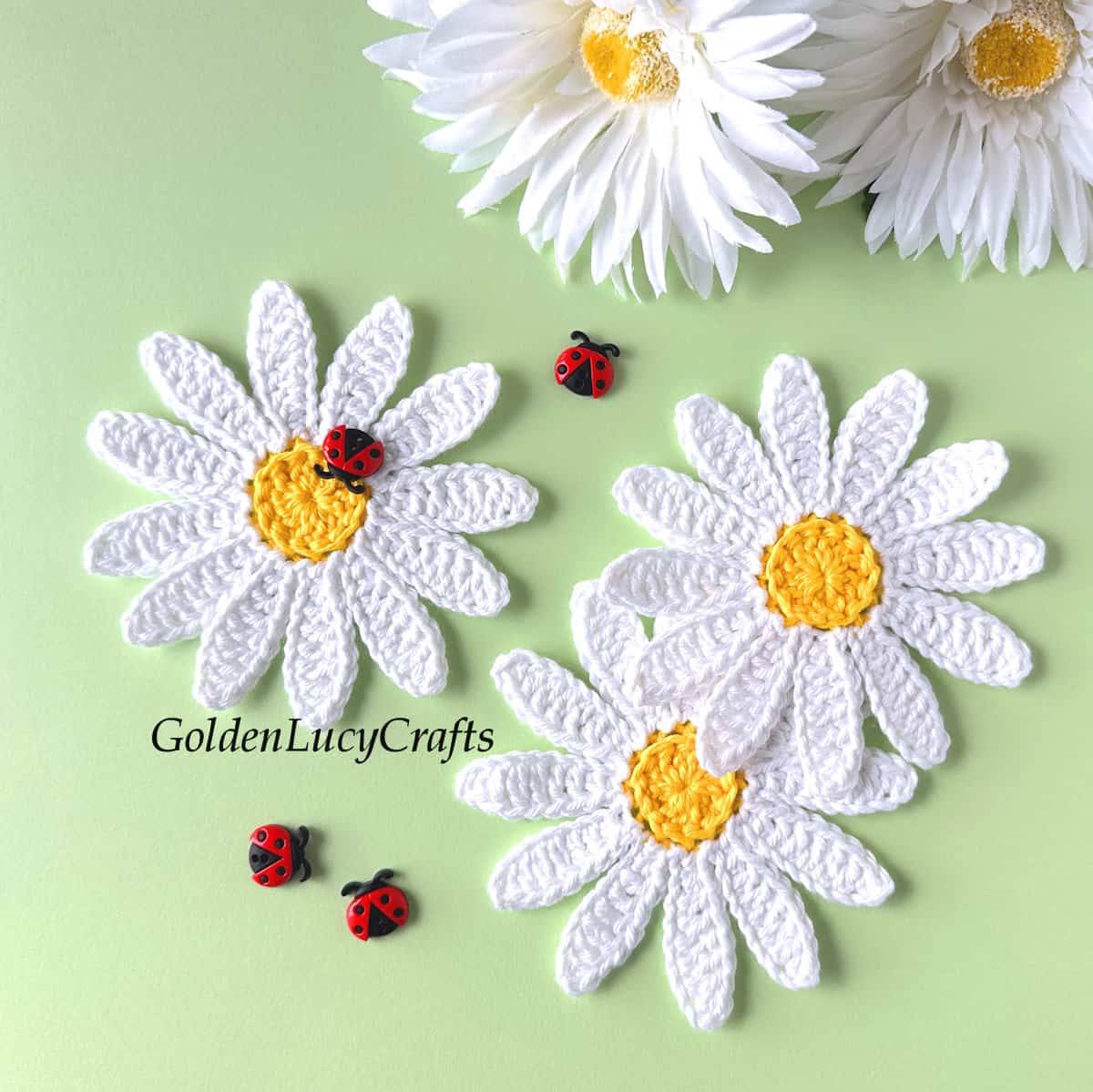 14 Daisy Applique Patterns Image