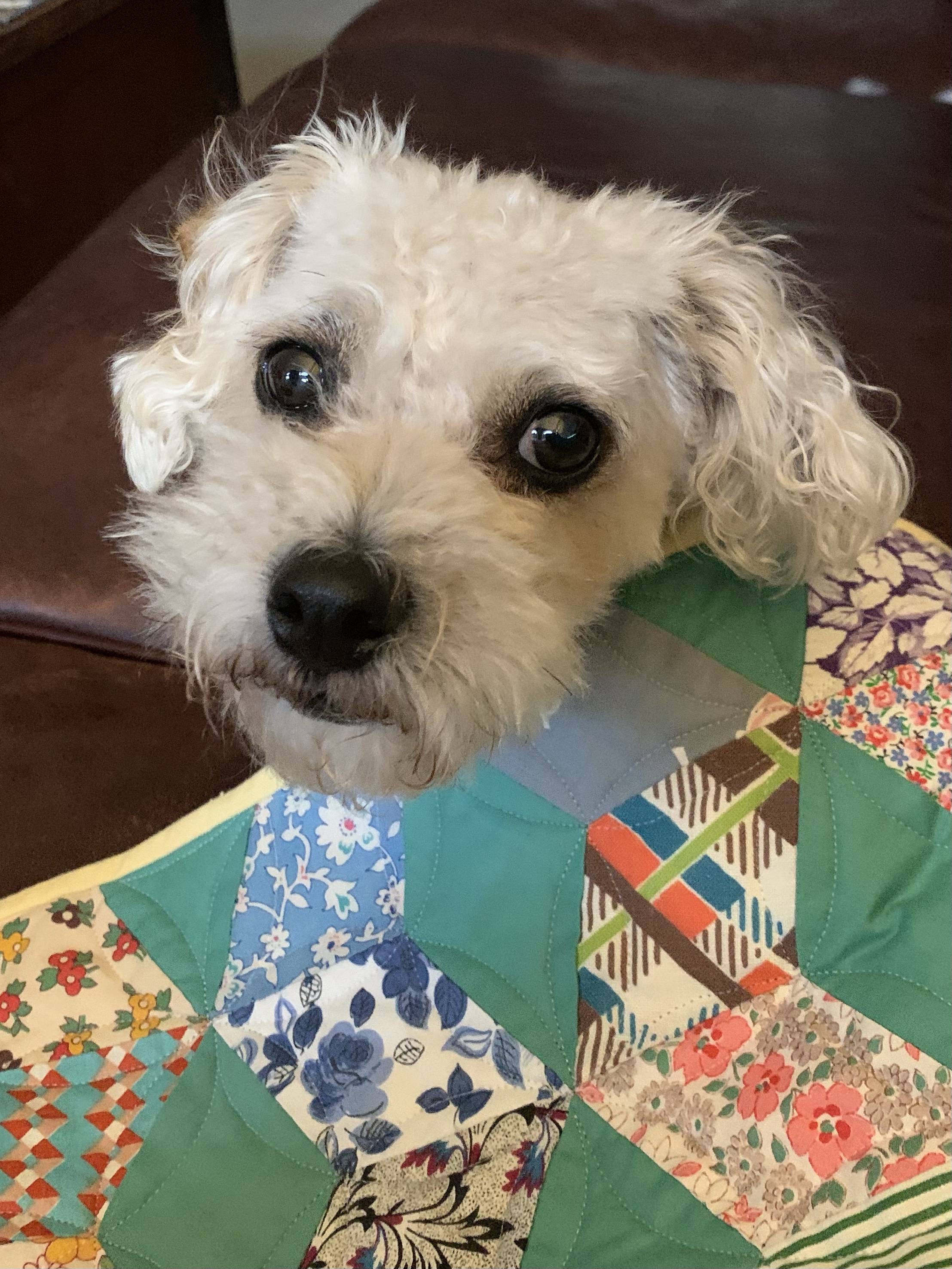 27 EPP Quilt Patterns Tumbling Blocks Image