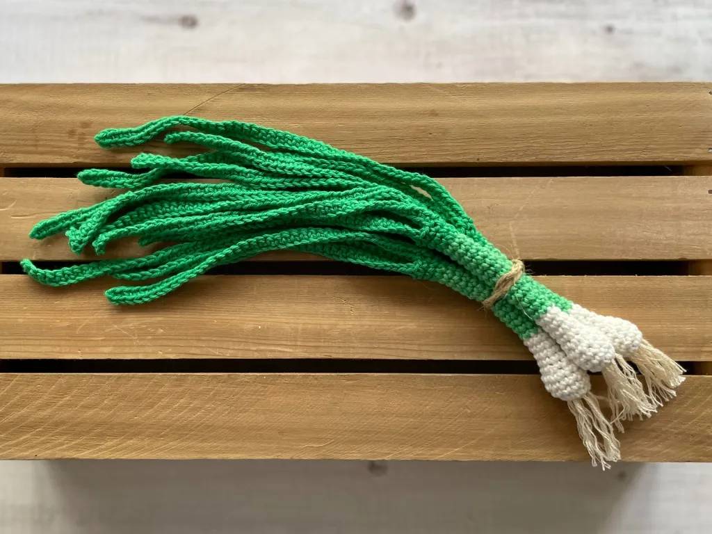 34 Crochet Vegetable Patterns Image