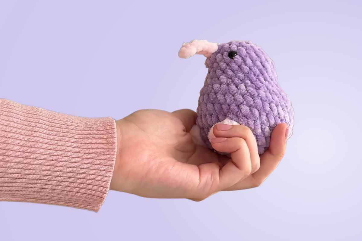 20 Kiwi Crochet Patterns Image