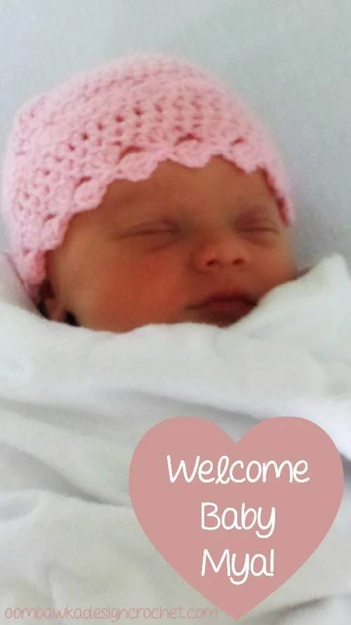 32 Easy Crochet Newborn Beanie Patterns Image