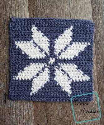 16 Tapestry Crochet Patterns for Beginners Image