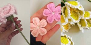 httpshelthdestiny.combeginner-plushie-crochet-patterns_20260421172505