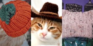 28 Crochet Cat Ears Beanie Patterns httpshelthdestiny.comcrochet-cat-ears-beanie-patterns_20260421172612