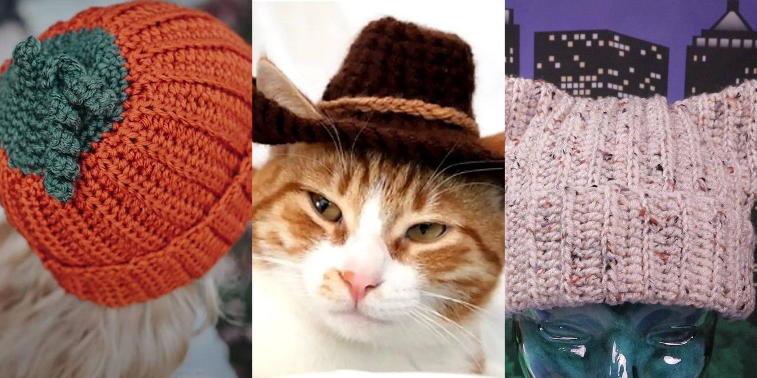28 Crochet Cat Ears Beanie Patterns