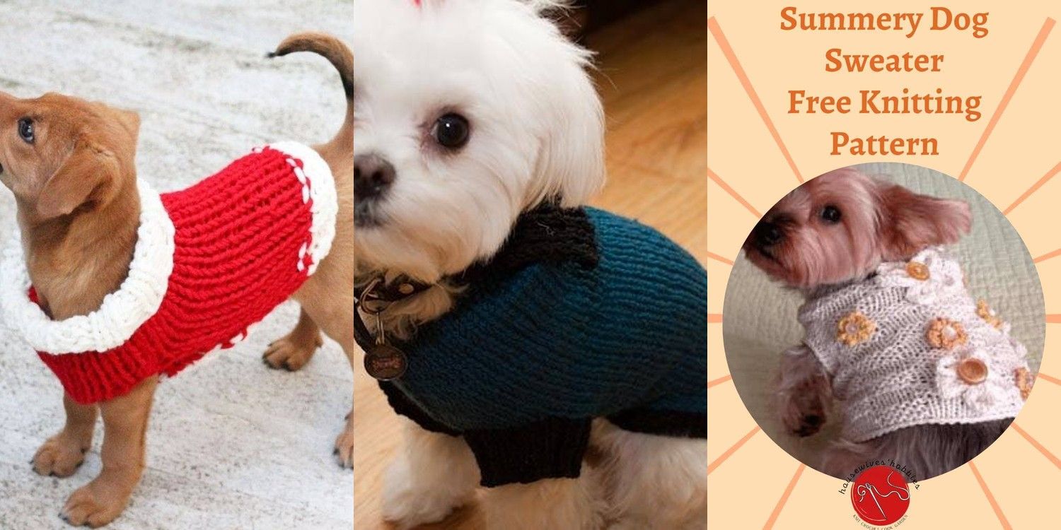 31 DIY Dog Clothes Patterns