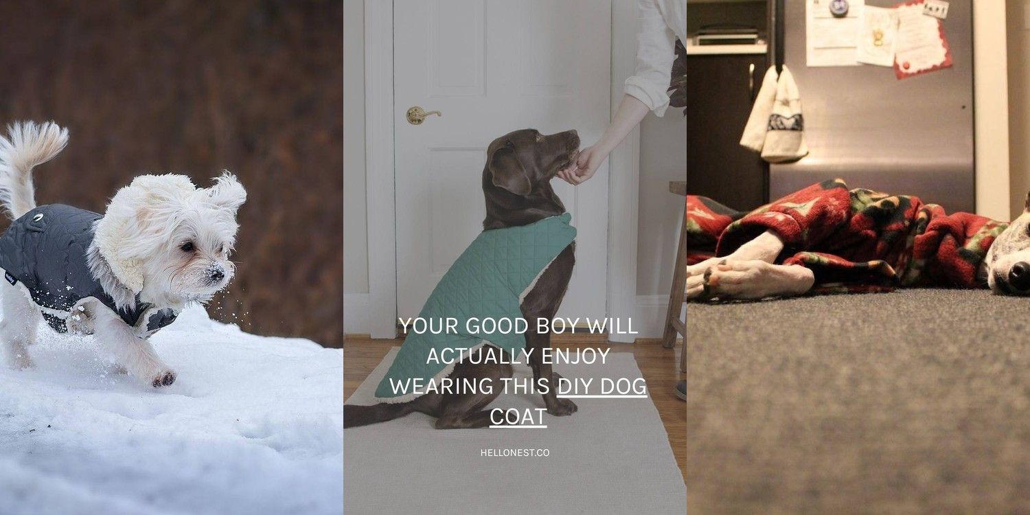 17 Paper Pieced Fish Quilt Patterns