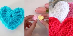 httpshelthdestiny.comstrawberry-turtle-crochet-patterns_20260421172920