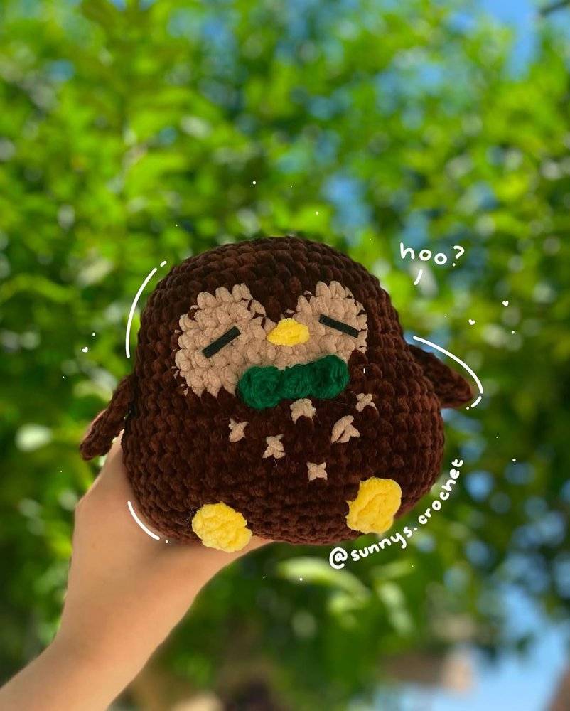 Adorable Amigurumi Crochet Owl Project
